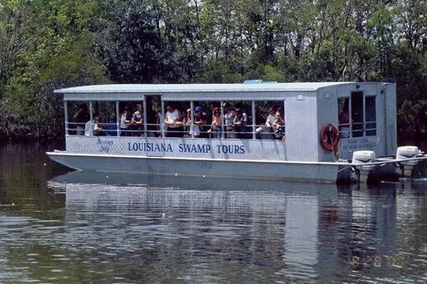 New Orleans Swamp Tour: Boat Ride & Gator Spotting