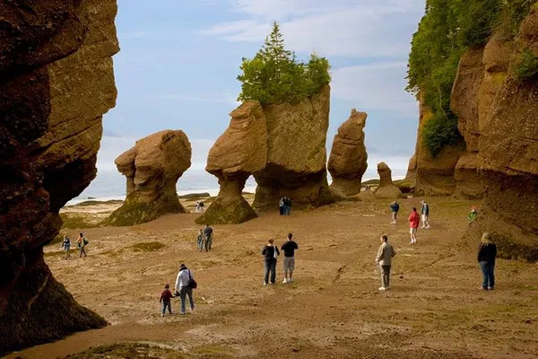 Hopewell Rocks: Walk on the Ocean Floor!