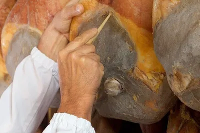 Unveiling Parma's Culinary Treasure: A Prosciutto di Parma Journey