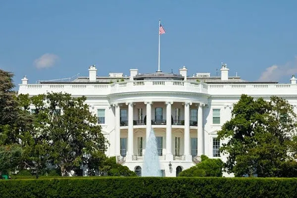 DC's Cherry Blossom & Monuments: A Guided Bus & River Cruise Adventure