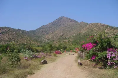 Explore Tiruvannamalai's Spiritual Heritage with Expert-Guided Tours
