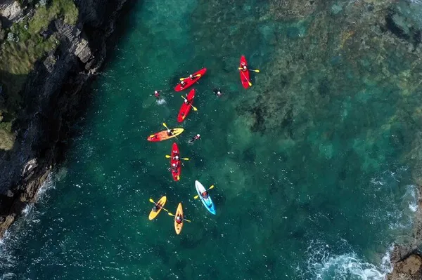 Newquay Kayaking: Coastal Adventure & Wildlife Views