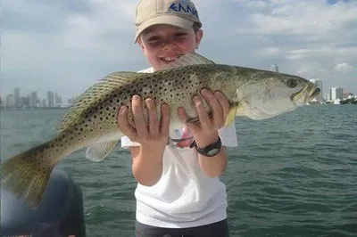 Reel in the Fun: Miami Inshore Fishing Adventure Awaits!