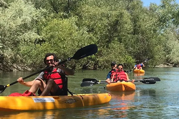 Russian River Kayak Tour: Wine Country Views & Lunch