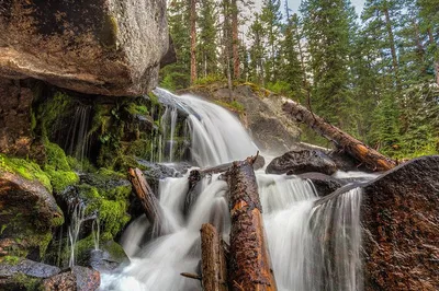 Capture Wild Basin's Beauty: A Pro Photography Hike in Rocky Mountain National Park