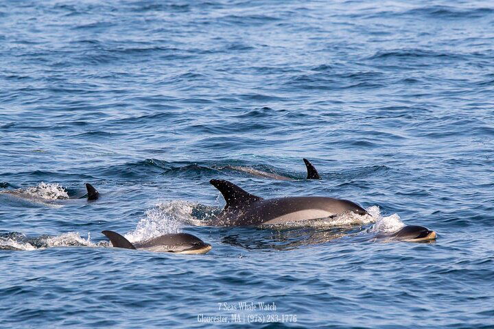 Experience Image img3