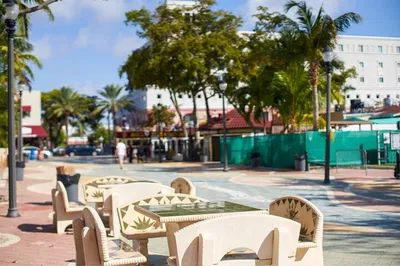 Miami's Best: Small Group Tour with Everglades Thrill!