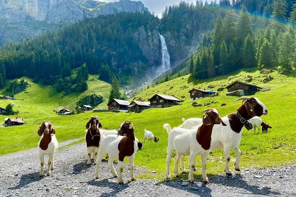 Switzerland's Secret Spots: Private Day Tour