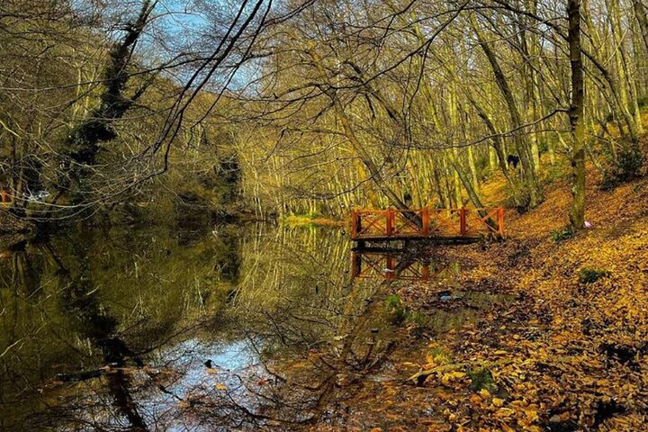 Experience Image img3