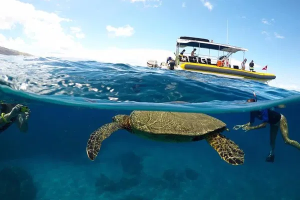 Lanai Snorkel & Dolphin Encounter: 4-Hour Maui Adventure