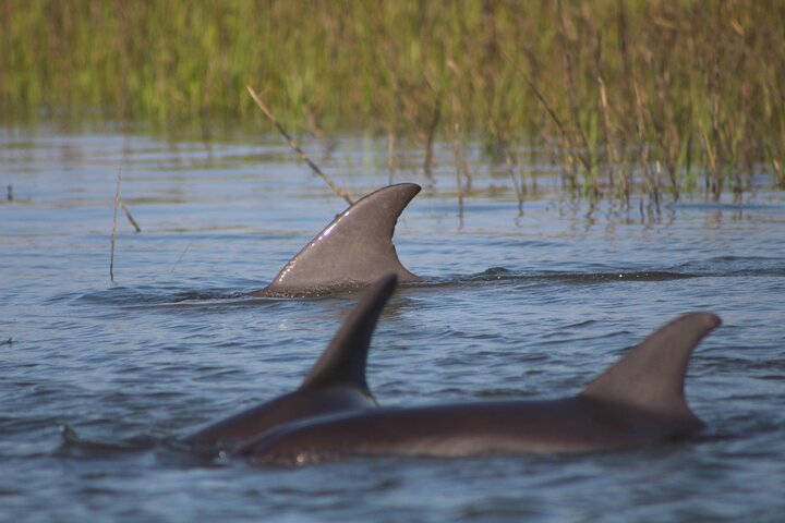 Experience Image img1