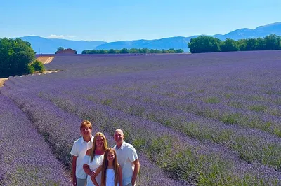 Unforgettable Lavender Route: Private Provence Tour from Marseille/Aix