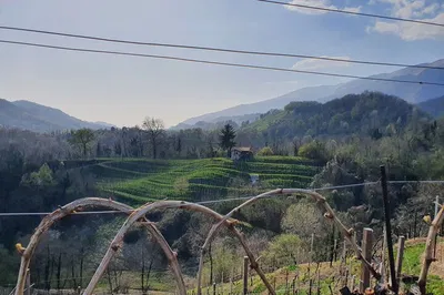 Prosecco Wine Tour: Taste Italy's Sparkling Hills