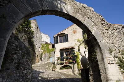 Image 3