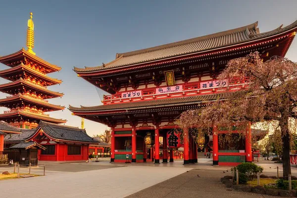 Tokyo Private Car Tour: See Top Sights Your Way!