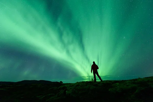 Chase the Aurora: Reykjavik's Guided Northern Lights Bus Adventure