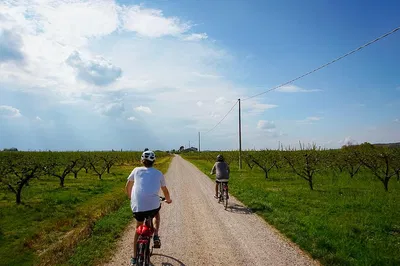 Medieval E-Bike Adventure: Explore Verona's Castles & Villages
