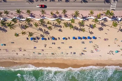 Uncover Fort Lauderdale's Hidden Gems: A Small Group Adventure