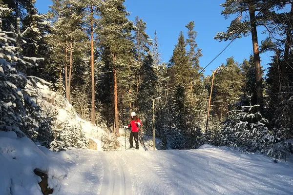 Master Cross-Country Skiing: A Norwegian Winter Adventure!