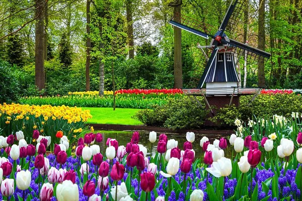 Keukenhof Gardens: A Kaleidoscope of Color from Amsterdam