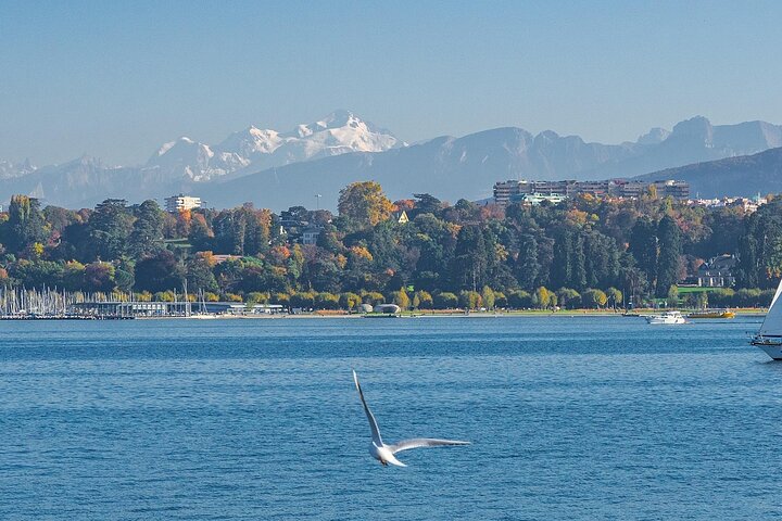 Experience Image img2