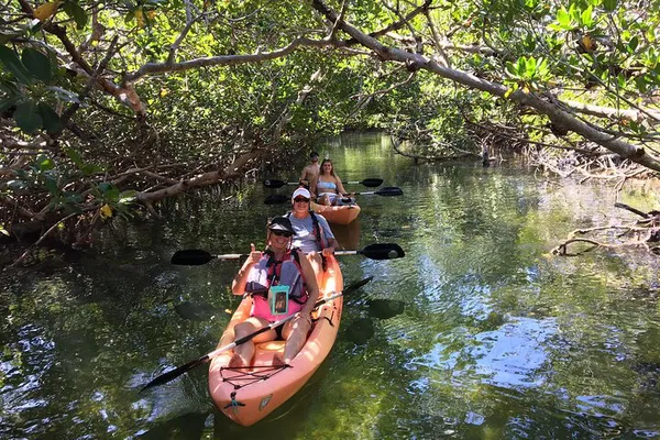 Kayak with Manatees: Mangrove Eco-Tour in the Keys