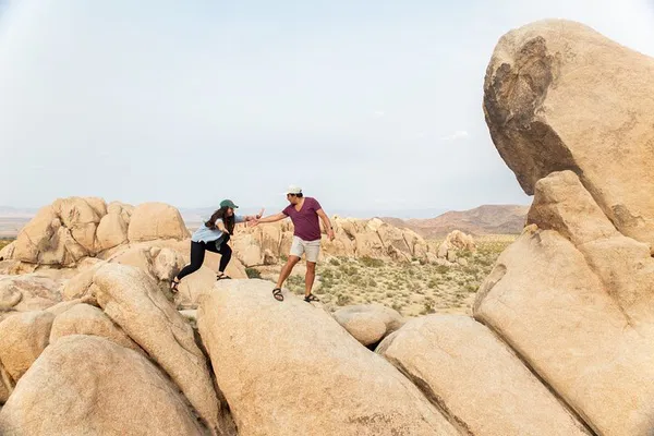 Unveiling Joshua Tree's Wonders: A Personalized Hiking Adventure
