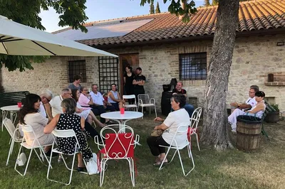 Discover Umbrian Olive Oil Excellence: Evo Tour & Tasting