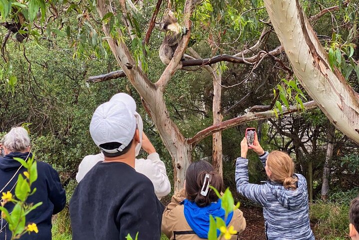 Experience Image img4