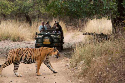 Golden Triangle & Ranthambore Adventure: Delhi, Agra, Jaipur & Tiger Safari