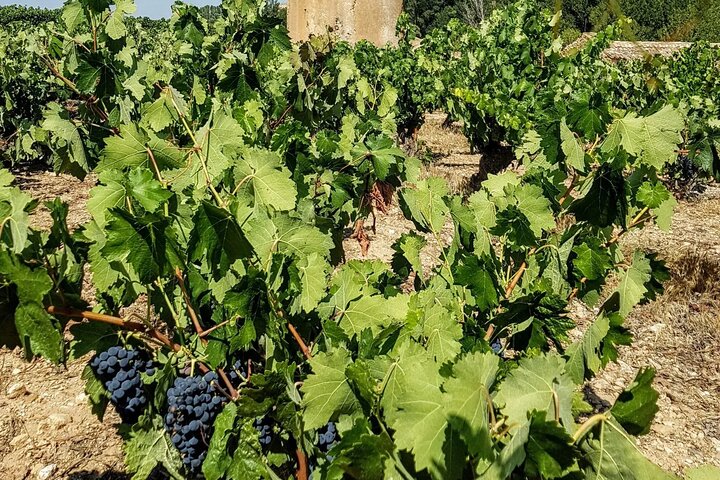 Experience Image img2