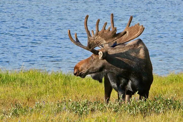 Elevate Your Adventure: A Private Photography Tour Through Rocky Mountain National Park