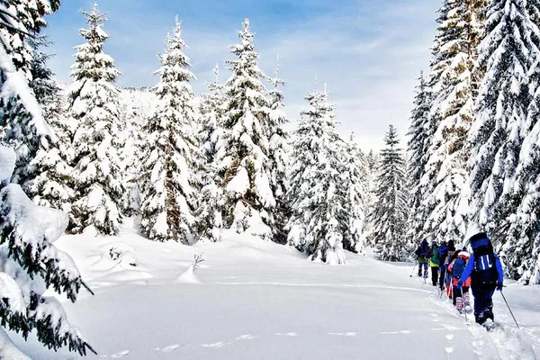Vancouver Snowshoeing Adventure: Escape to a Winter Wonderland!