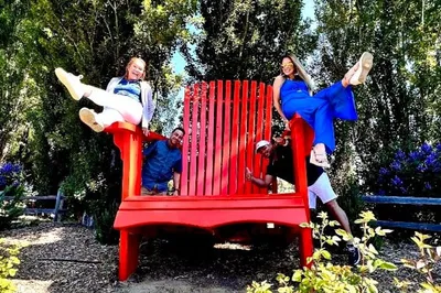 Uncork Adventure: Muir Woods & Sonoma Wine Escape from San Francisco!