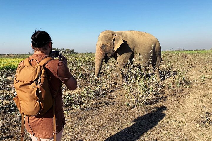 Experience Image img1