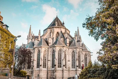 Unleash Your Inner Alchemist: Discover Mons with an Escape Game Adventure!