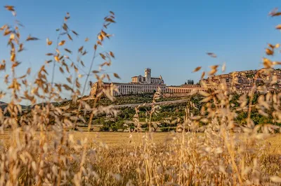Assisi Pilgrimage: Walking with Saints Francis & Acutis