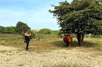 Escape to Nature: Haarlem, Dunes, and North Sea Adventure