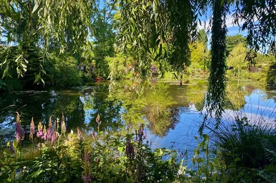 Discover Monet's Giverny: An Intimate Half-Day Escape from Paris