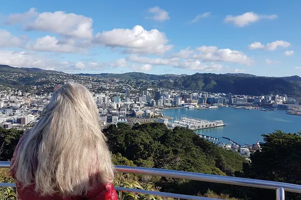 Unveiling Wellington: A Luxurious Private Sightseeing Adventure