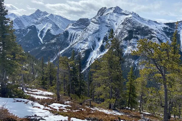 Soar with Eagles: Interpretive Hike in the Rockies
