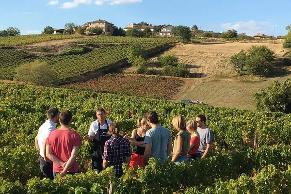 Discover Medieval France: A Beaujolais & Pérouges Private Tour from Lyon