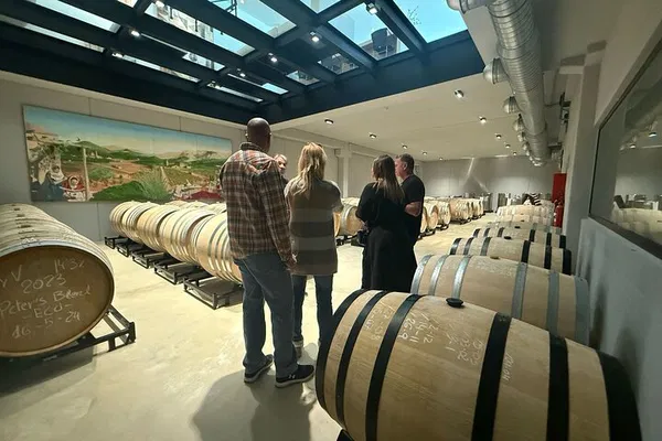 Mallorca's Best: Tramuntana Winery & Villages Private Tour