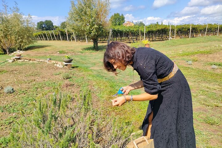 Experience Image img2