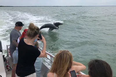 Marco Island's Coastal Gems: A Dolphins, Shelling & Island Hopping Adventure