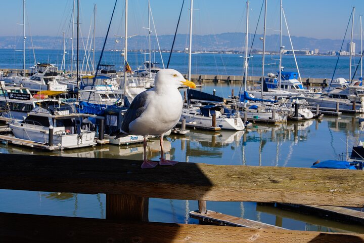 Experience Image img3