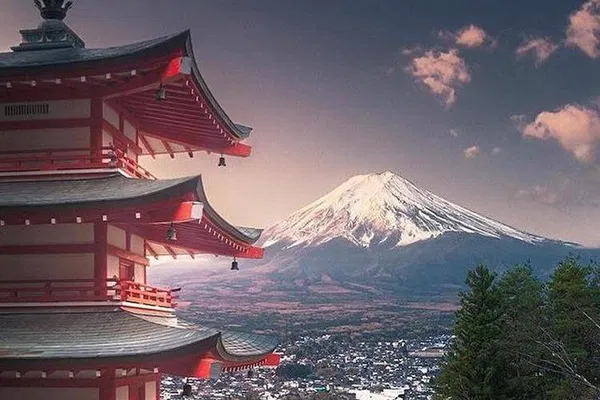 Mt. Fuji & Hakone Private Tour: Unforgettable Views!
