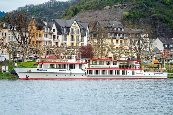 Cochem River Cruise: 1-Hour Tour of Moselle Valley