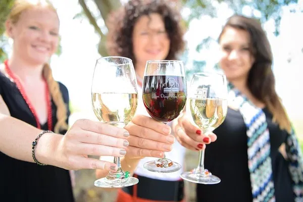 Uncork San Diego: A Luxurious Chauffeured Vineyard Escape