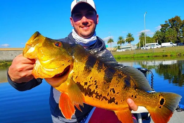 Miami Peacock Bass Adventure: Reel in Urban Excitement!